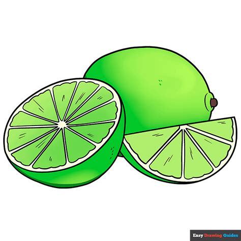 How to Draw a Lime - Really Easy Drawing Tutorial