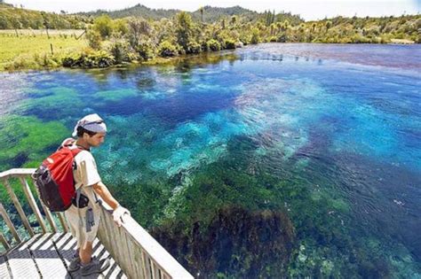 Te Waikoropupū Springs: Jedan od najčišćih izvora na svijetu, Novi Zeland