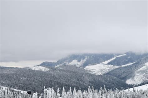 Premium Photo | Tatras view of the snowy tatras winter forest of the tatras