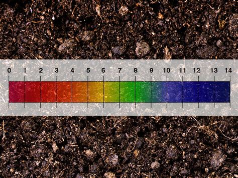 Soil Chemistry Fundamentals, Part 1 – Understanding Soil pH and How it Affects Plant Nutrient ...