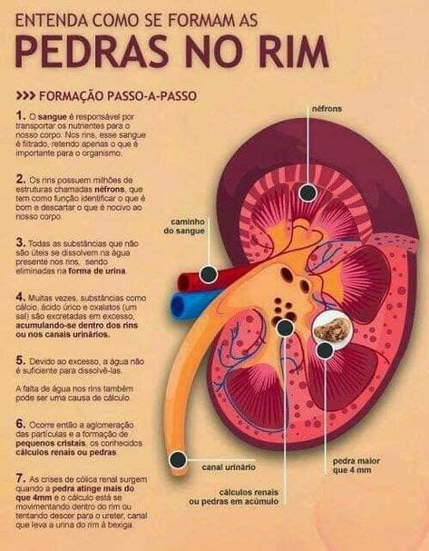 Pin em patologias e afins