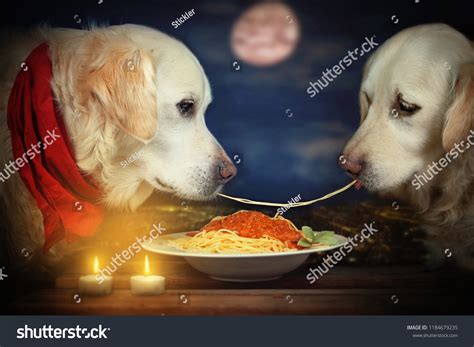 Can Dogs Eat Spaghetti Hoops