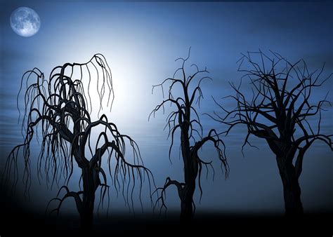 Download free photo of Moon,night,tree,full moon,darkness - from needpix.com