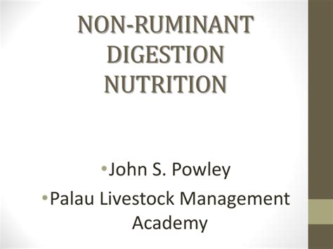 non-ruminant digestion nutrition