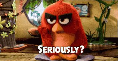 Angry Birds GIFs | GIFDB.com