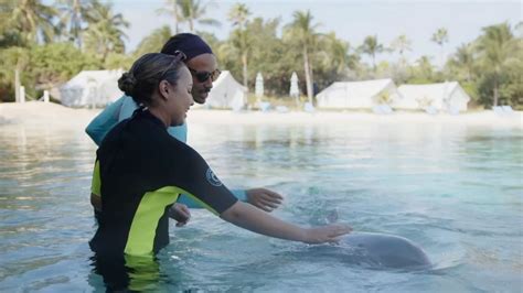 Dolphin Cay to the Rescue! - Our News