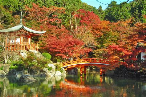 6 Best Temples to See Cherry Blossoms in Kyoto - Great Places in Kyoto for Cherry Blossoms - Go ...