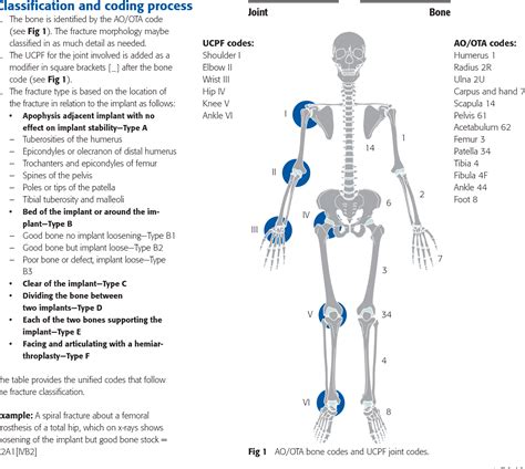 Unified Classification System Periprosthetic