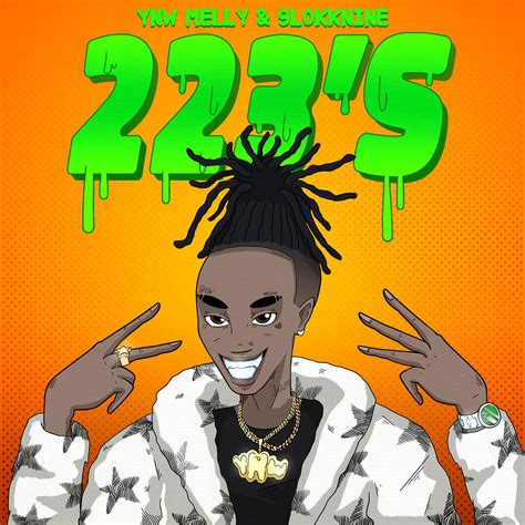 223's (feat. 9lokknine) by 9lokkNine and YNW Melly on Beatsource