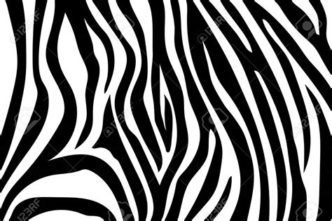 clipart zebra stripes 20 free Cliparts | Download images on Clipground 2024