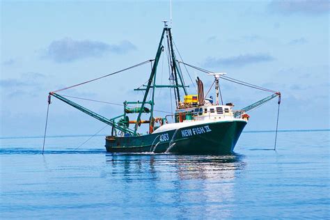 The Impact of Commercial Bottom Trawling - The Fishing Website