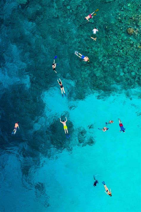 aerial, view photography, people, body, water, person, swimming, snorkel, CC0, public domain ...