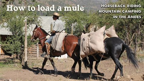 How to load a mule: Horseback riding mountain camping in the Andes near Santiago, Chile - YouTube