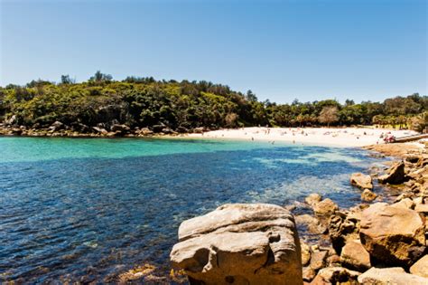 Manly Beach Pictures | Download Free Images on Unsplash