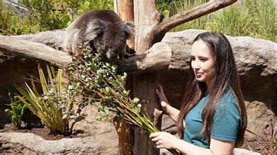 Zoologist Megan McCubbin joins BBC One’s Animal Park presenting team ...