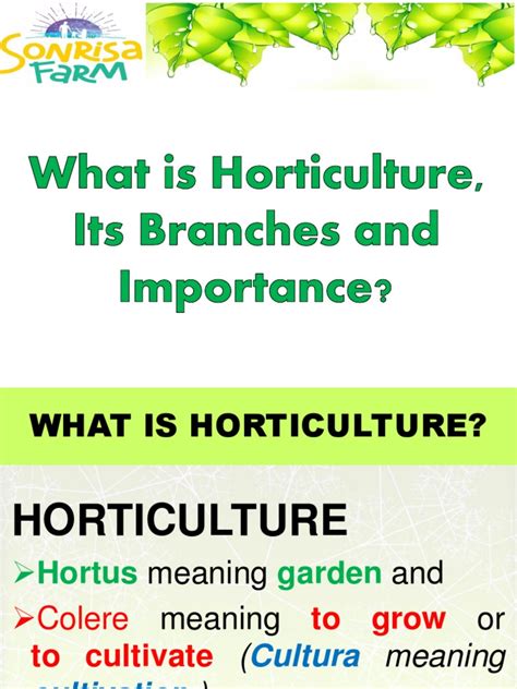 Horticulture Definition and Its Branches | PDF | Horticulture | Floristry