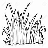 Grass Outline Clipart Coloring Drawing Colouring Pages Template  sketch template