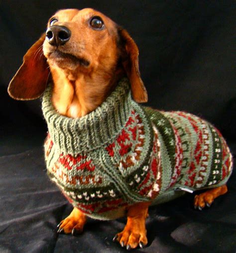 Fair Isle Handknit Dachshund Dog Sweater Mock by BlameItOnAnnie