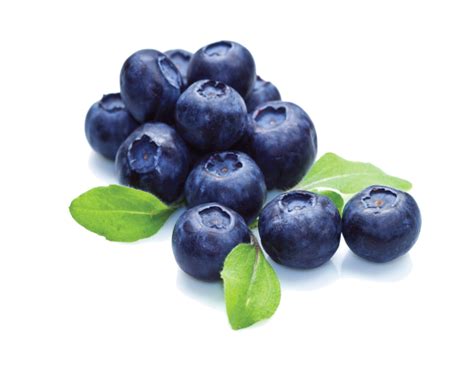 Download High Quality blueberry clipart transparent background Transparent PNG Images - Art Prim ...