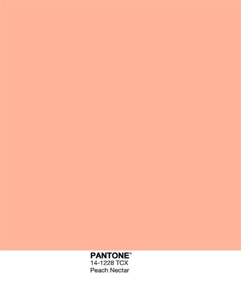 Pantone Peach Beige Kleur Inspiratie Kleurenpalet Kleurenpaletten Images