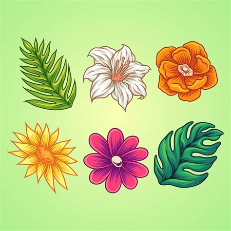 Summer flower collection 8084994 Vector Art at Vecteezy