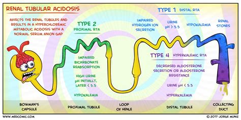 Renal tubular acidosis (RTA) refers to a group of disorders affecting the renal characterized by ...