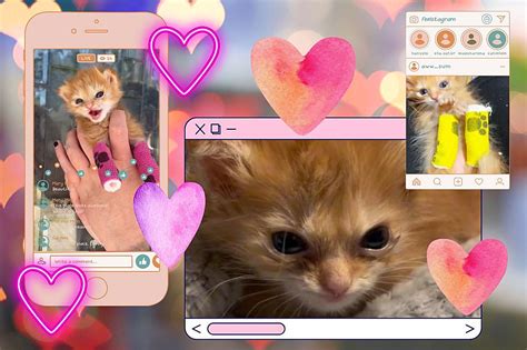 Remembering Tater Tot, The Internet's Tiny Kitten Obsession