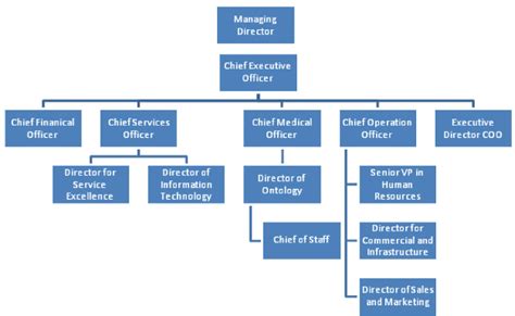 Simplified health care organizational chart | Download Scientific Diagram