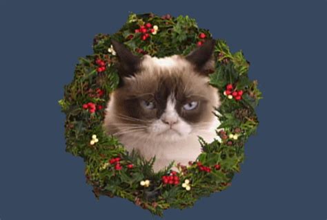 Grumpy Cat Christmas GIF - Find & Share on GIPHY