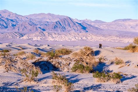 238 Death Valley National Park Map Images, Stock Photos, 3D objects, & Vectors | Shutterstock