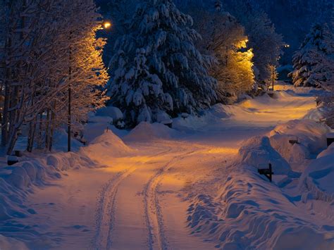 Trail and Trees Covered in Snow at Night · Free Stock Photo