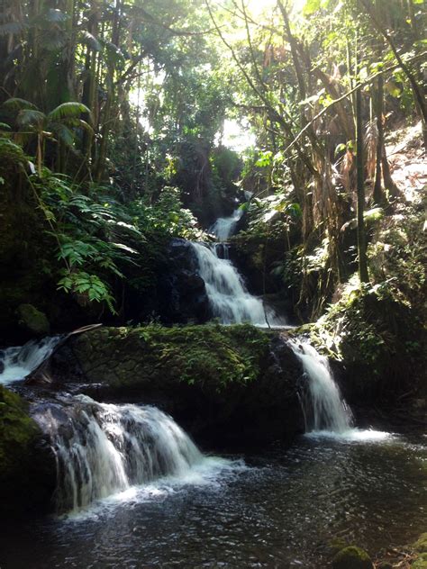 Botanical Garden, Hawaii | Big island hawaii, Beautiful waterfalls, Waterfall