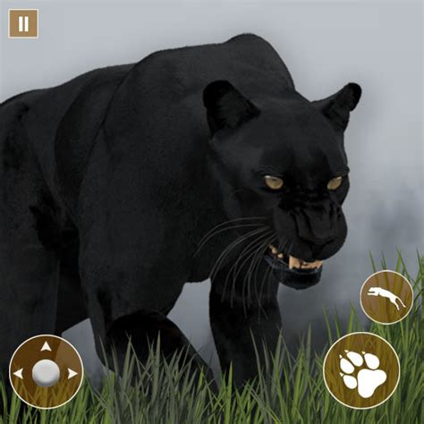 Black Panther Animal Hunting