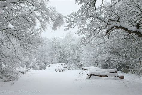 🔥 [50+] New England Winter Scenes Wallpapers | WallpaperSafari