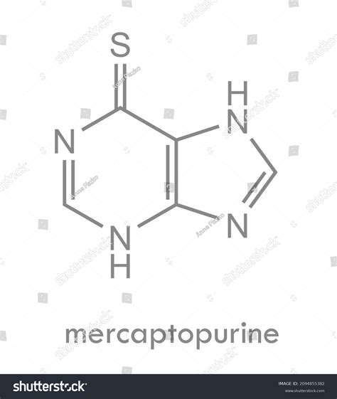 Mercaptopurine Structure Chemotherapy Drug Molecule Used Stock Vector ...