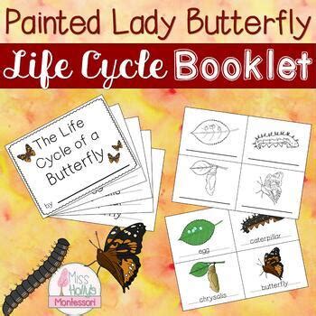 Painted Lady Butterfly Life Cycle Booklet Montessori Inspired | TpT