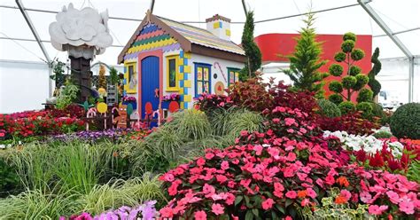 First look at Southport Flower Show 2018 as it gears up for an exciting weekend - Liverpool Echo