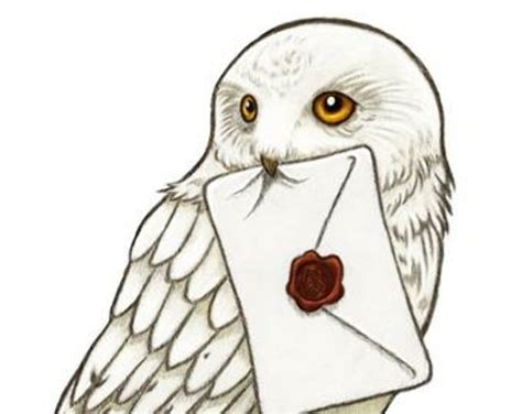 Download High Quality harry potter clipart hedwig Transparent PNG ...