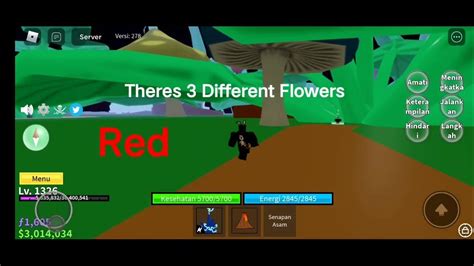 All 3 Flowers Location In Blox Fruit - YouTube