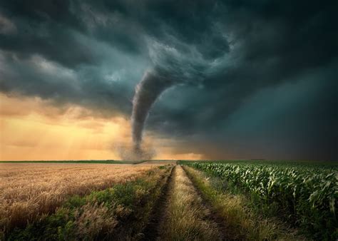 Tornado Alley: What You Need to Know