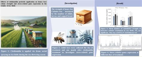 Effects of Clothianidin Pesticide Application on the Honey Bees Colony Strength and Stress ...