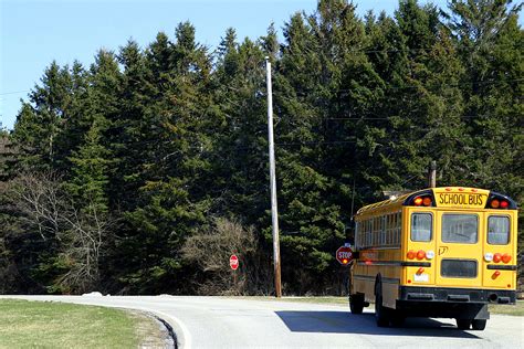 New York School Bus Driver Canned For Drinking White Claw