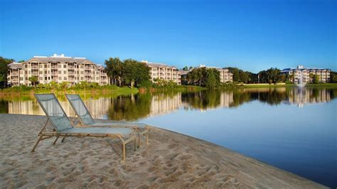 Top 10 Best Hotels Near SeaWorld Orlando, Florida, USA - YouTube