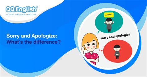 Sorry и Apologize: это одно и то же? - QQEnglish