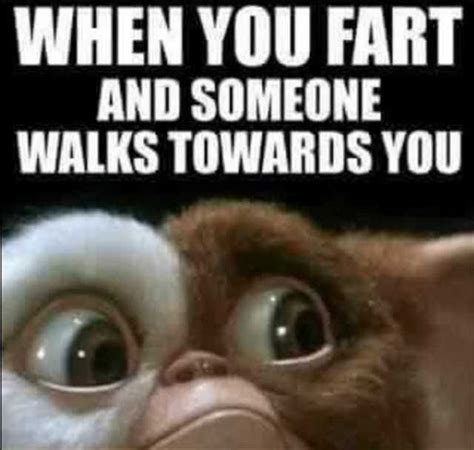 35 Fart Memes That Will Make You Stop and Laugh - SayingImages.com | Fart humor, Funny picture ...