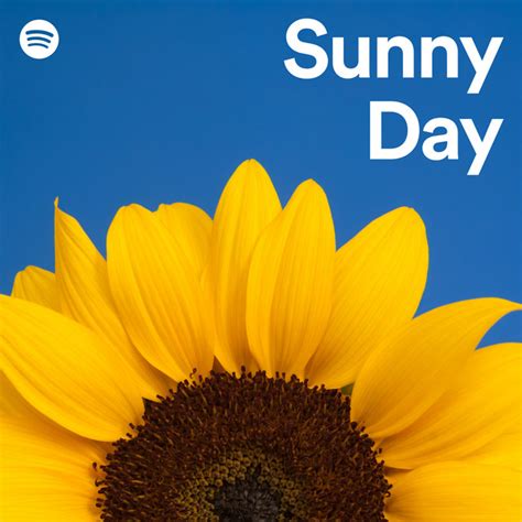 Sunny Day | Spotify Playlist