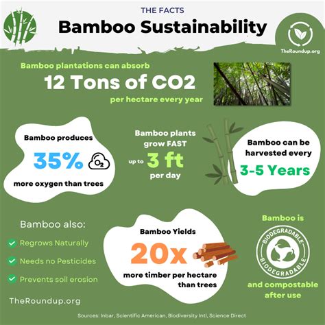 47 Surprising Bamboo Sustainability Facts & Statistics 2024