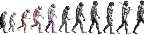 CD's Picture of the Week Month: Evolution of Man