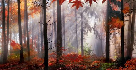 Magical Autumn Scenery In A Dreamy Photograph by Smileus Images - Fine Art America