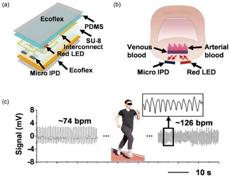 Frontiers Photoplethysmogram Analysis And Applications: An